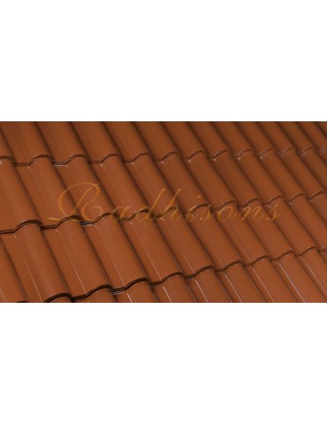 Tuile Portugaise argile TECNO 46x25,7cm (1°choix) NATURELLE BRILLANT