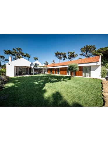 Tuile Plate argile PLASMA 49x25,3cm (1°choix) NATURELLE