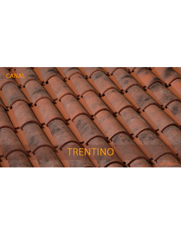 Tuile Canal argile CANUDO 45x20cm (1°choix) TRENTIN