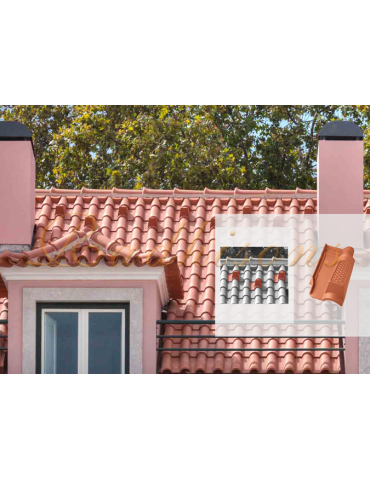 Tuile chemin de marche argile  F2/F3+ (46x26)cm ROUGE NATURELLE