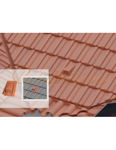 Tuile châtière et chemin de marche argile PRIMUS ROUGE NATURELLE