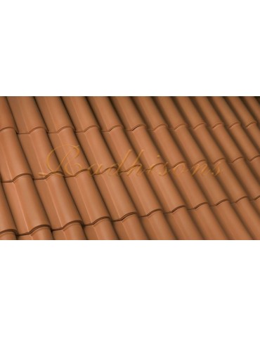 Tuile Portugaise argile F3+ (46x26,6)cm  (1°choix) ROUGE NATURELLE