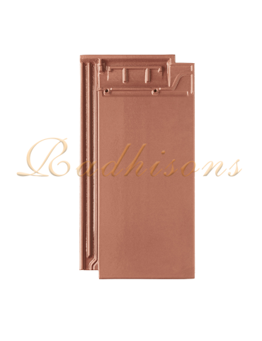 Tuile Plate argile PLASMA 49x25cm (1°choix) NATURELLE BRILLANT